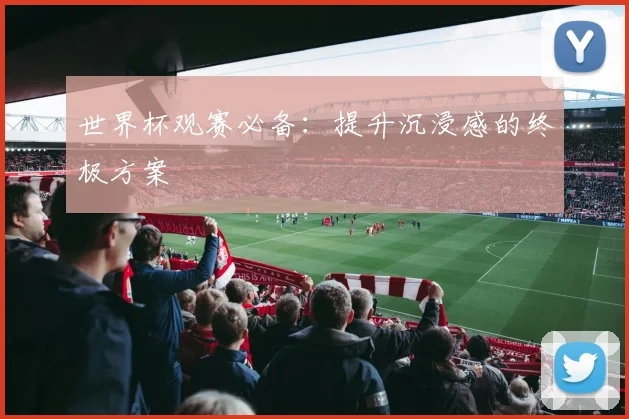 世界杯观赛必备:提升沉浸感的终极方案
