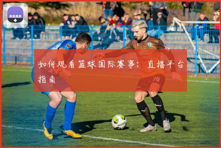如何观看篮球国际赛事：直播平台指南